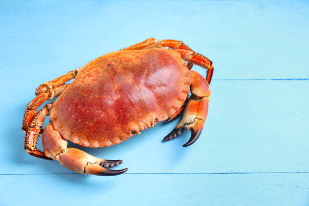 cleaning crab for boil